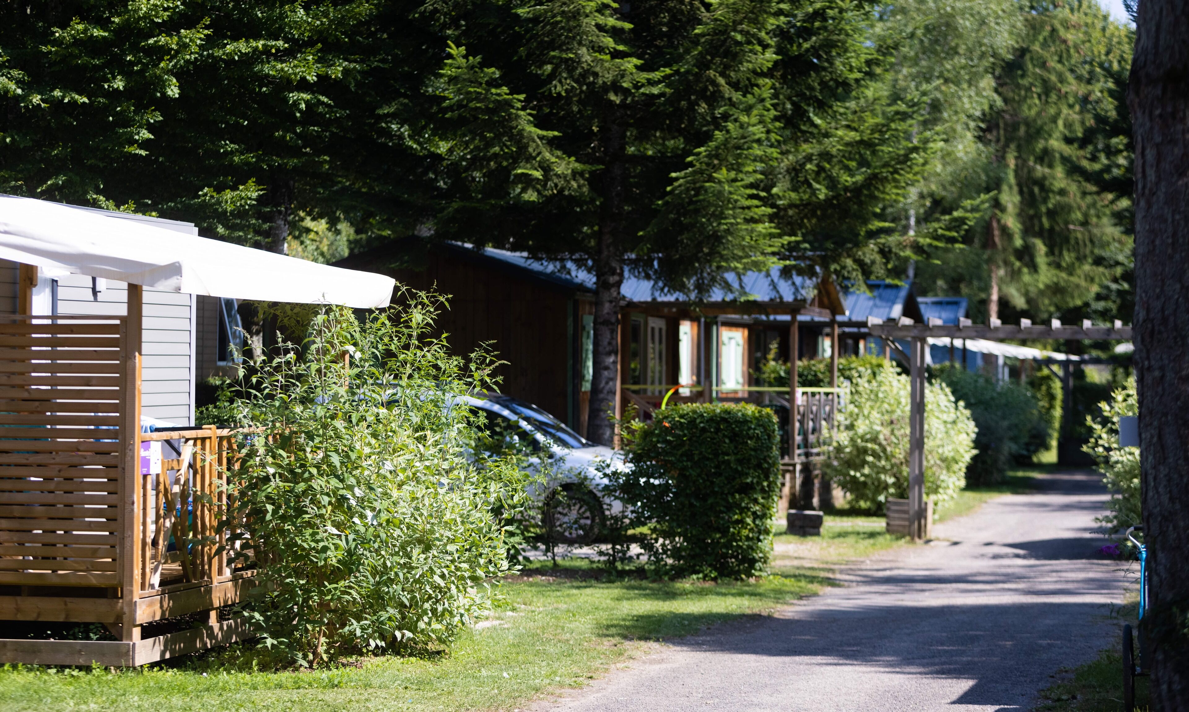 A row of wooden cabins with a gravel path leading through a wooded area.