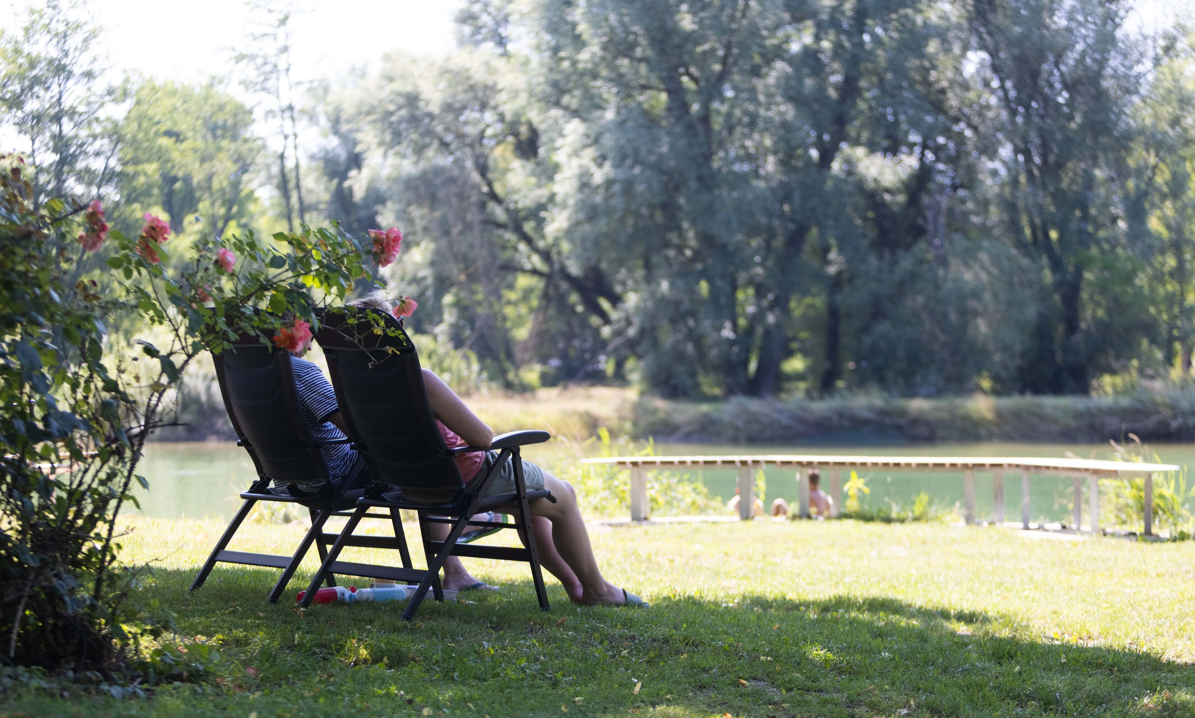 Servicio de la propiedad