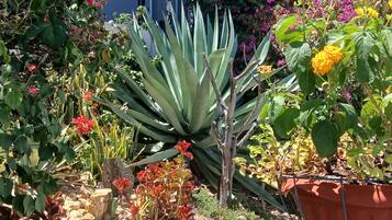 DĂ©tail de lâextĂ©rieur