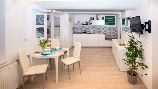 A compact kitchen with white cabinets, a dining area with two chairs, and a potted plant. - Big Yard (Ljubljana)