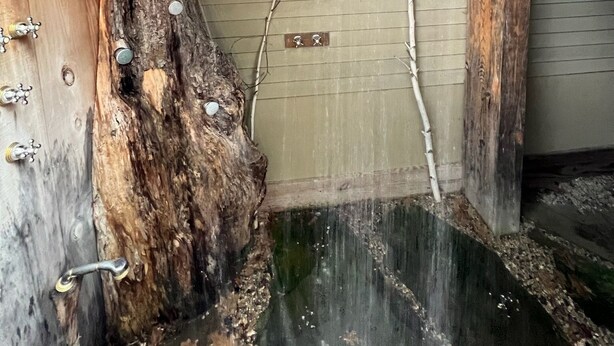 A wooden tree trunk with a metal plaque and a metal door with a handle. - Booking for next summer. (Center Ossipee)
