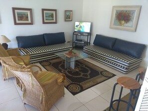 Televisión, reproductor de DVD, mesa de ping pong