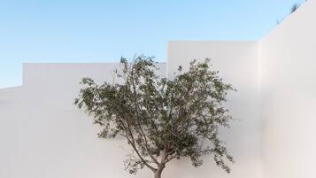 Four Bedroom Villa with Infinity Pool | Spa | Massages des tissus profonds, 4 salles de soins