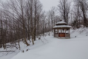 Property grounds - Viewmont Chalet is a wonderful post and beam house with an outdoor hot tub, pool table and close to skiing. (Killington)