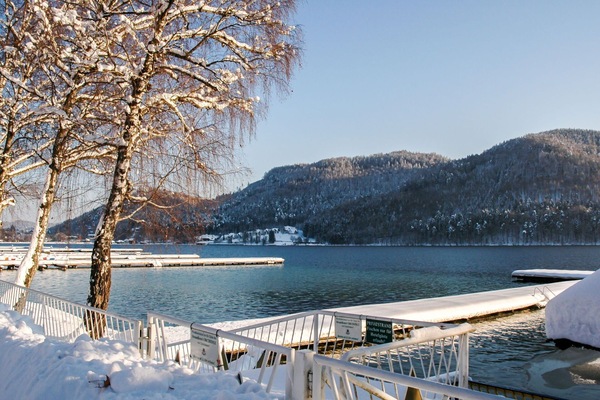 L'Hiver, Neige, Arbre, Gelé, Lac, Ciel, La Glace, L'Eau, Rivière