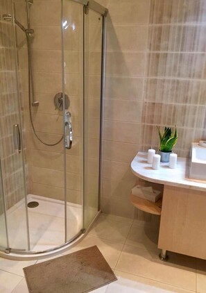 Hair dryer, towels, shampoo, toilet paper