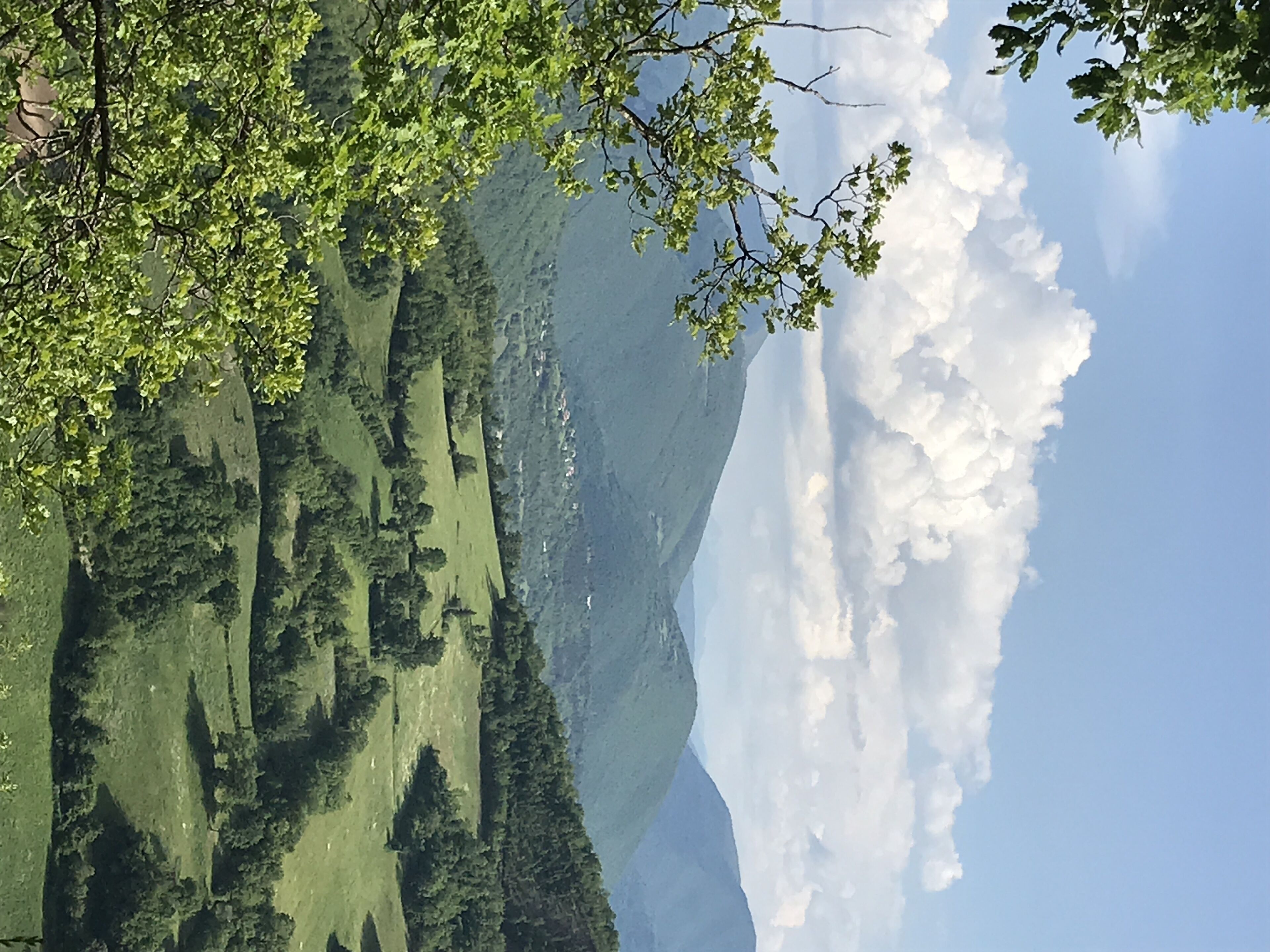 A mountainous landscape with dense forest and a clear sky.