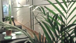 Ein moderner Arbeitsbereich mit Glastrennwand, einer Topfpflanze und einem Schreibtisch mit Computer.