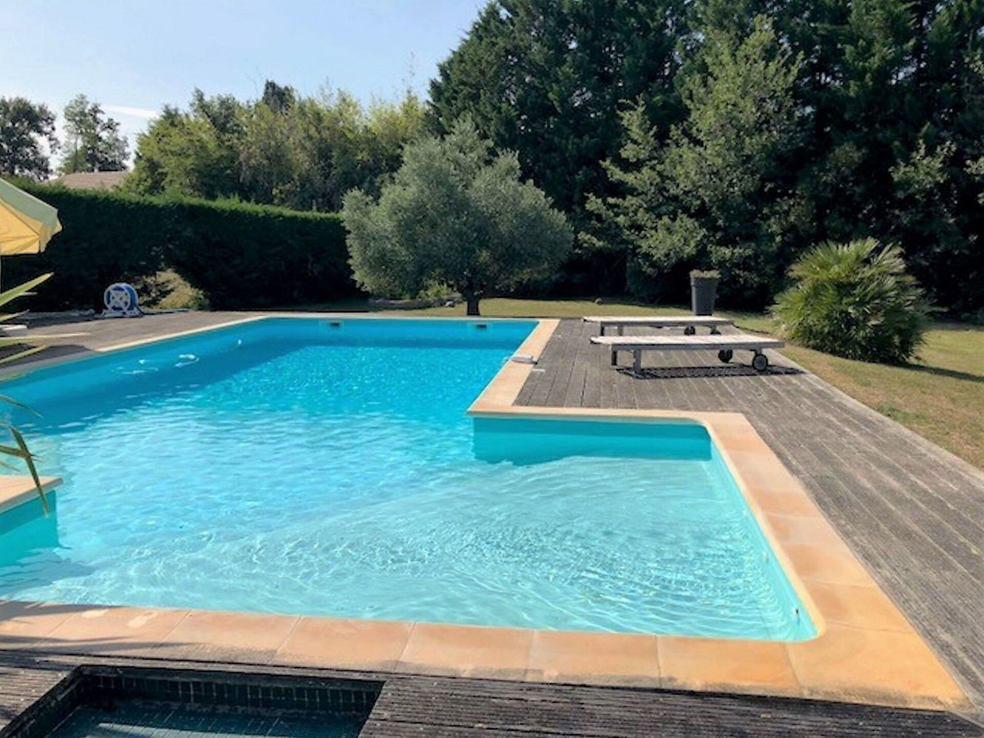 Water, Plant, Swimming Pool, Blue, Azure, Rectangle, Shade, Tree, Grass, Sky