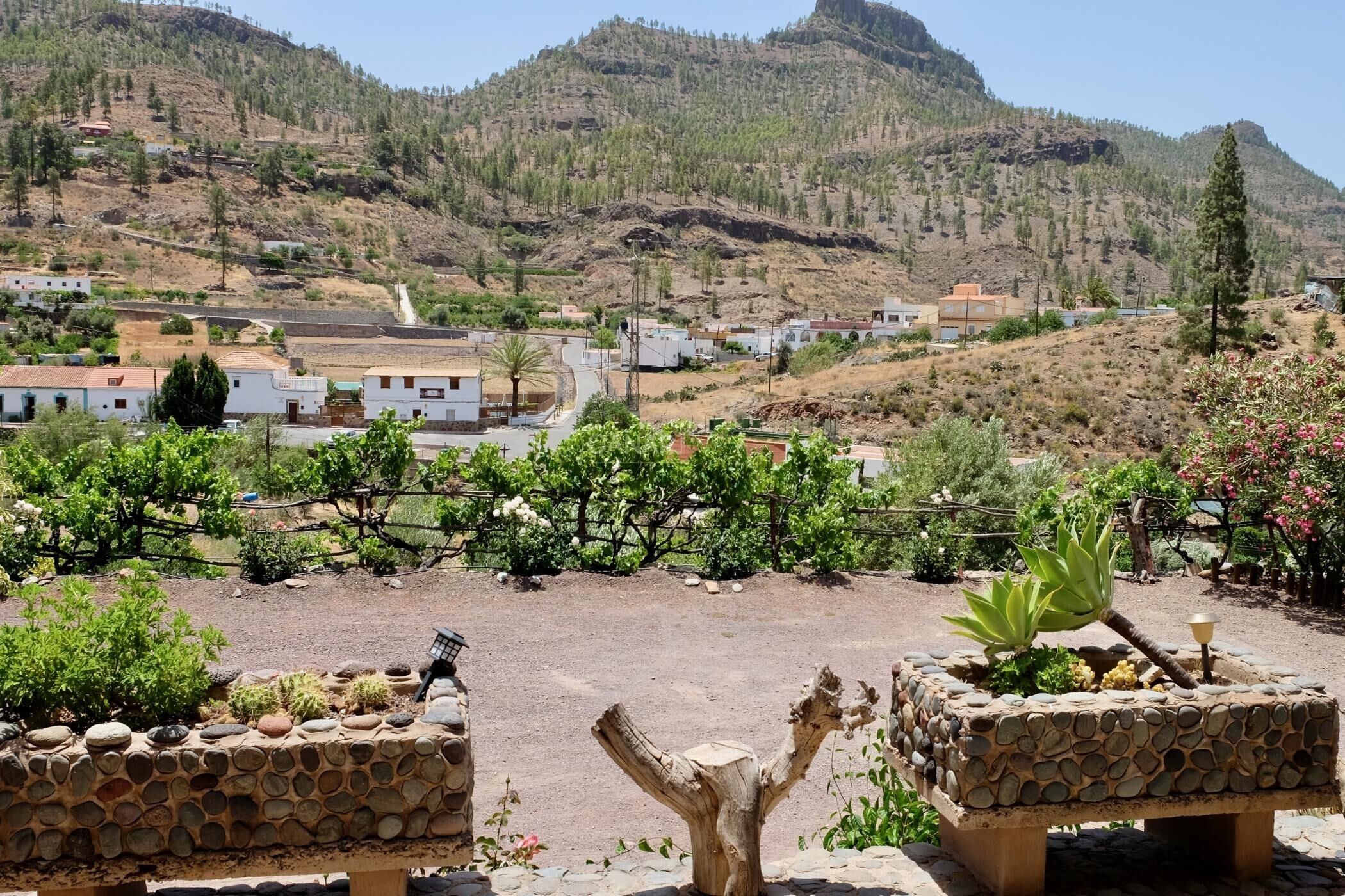 Jardines del alojamiento