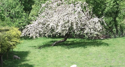 Farmhouse Cottage Sleeps 2 (1 en-suite Bedroom)