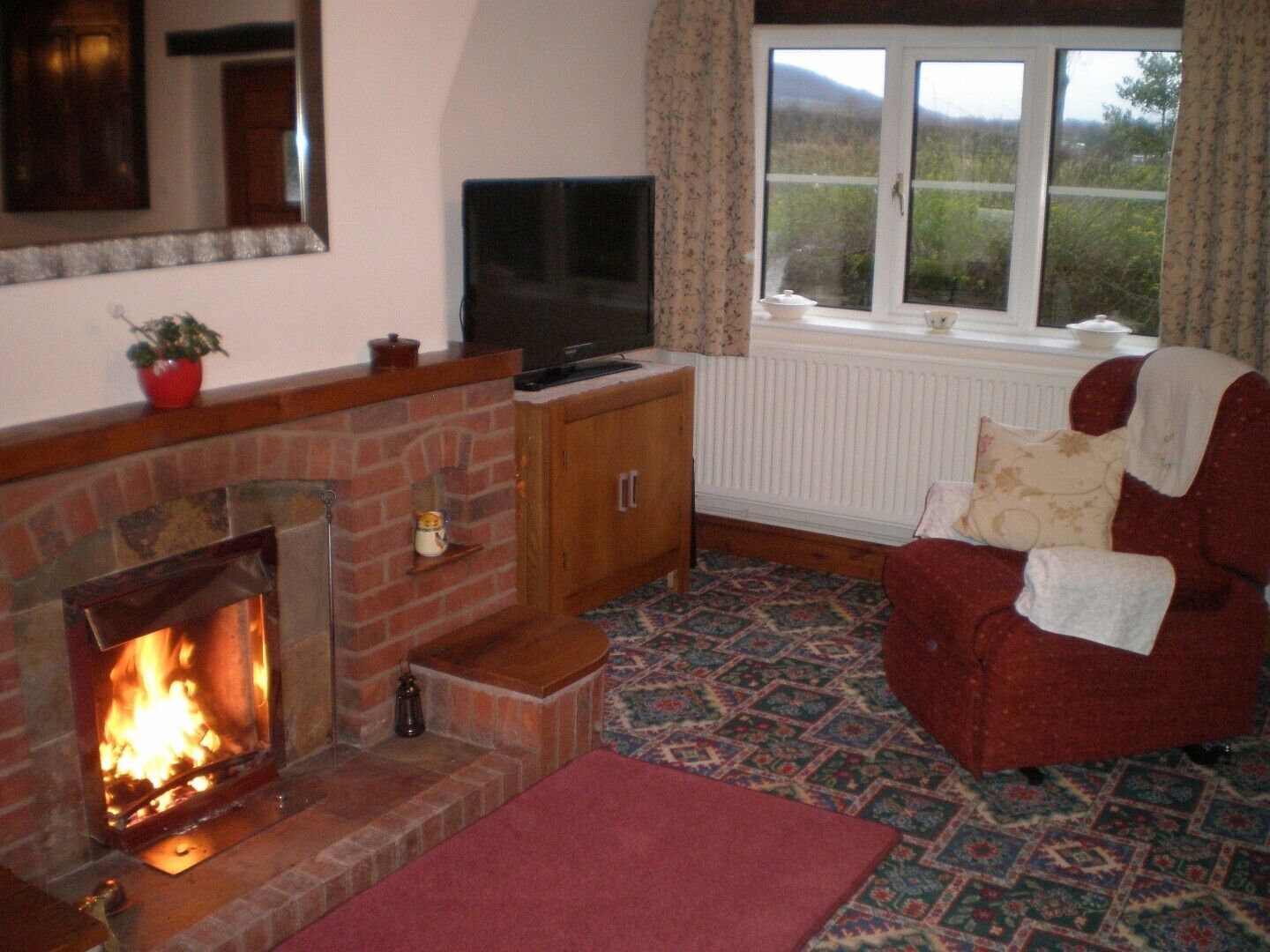 TV, fireplace, DVD player, books