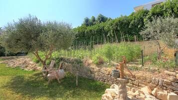 Áreas de la propiedad