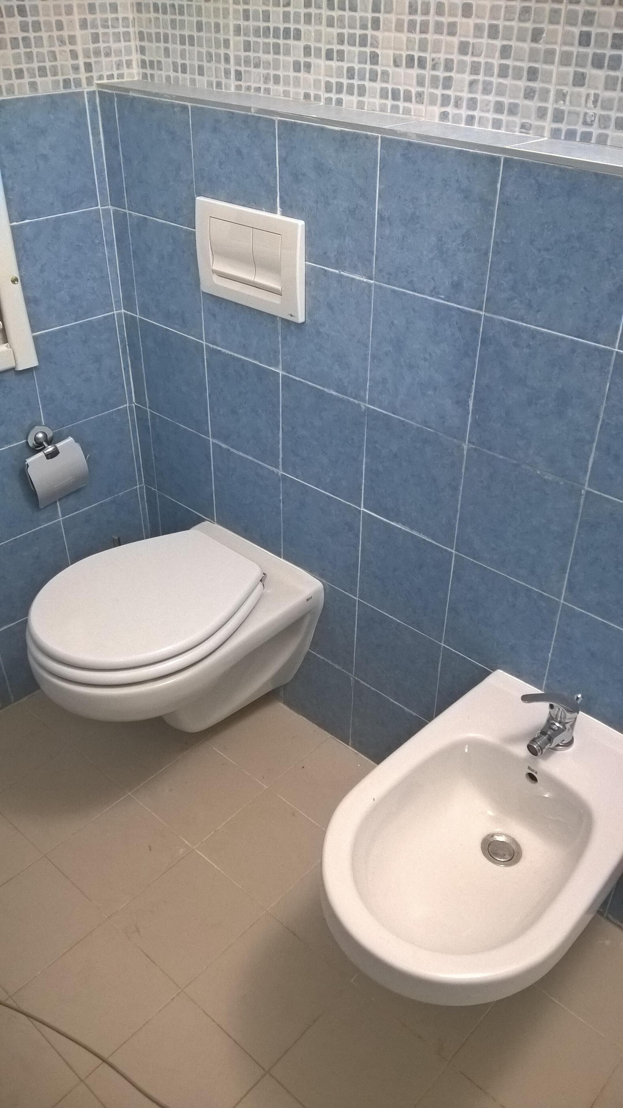 Agricola Antenio 1861