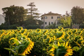 Parco della struttura