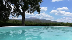 A clear swimming pool with a tree in the foreground and a mountain in the background.