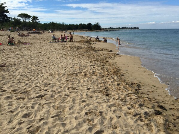 Enjoy a spacious beach experience with plenty of room to sunbathe, play, and walk along the shoreline.