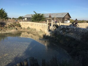 Basseng