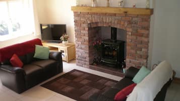 Televisión, chimenea, reproductor de DVD y libros