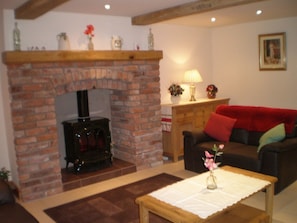 Télévision, cheminée, lecteur de DVD, livres