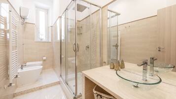 Shower, hair dryer, bidet, towels