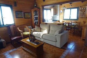 Télévision, cheminée, lecteur de DVD, livres