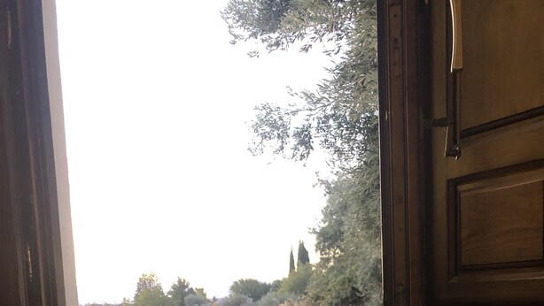 A dog sitting on a cushioned bench by a doorway with a view of a paved area and trees. - Adonay's house, it's also your house! (Huétor Vega)