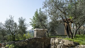 A stone structure with a small stone block in the center, surrounded by rocks and greenery. - Martina, apartment with terrace on the green hills of San Giminiano (San Gimignano)