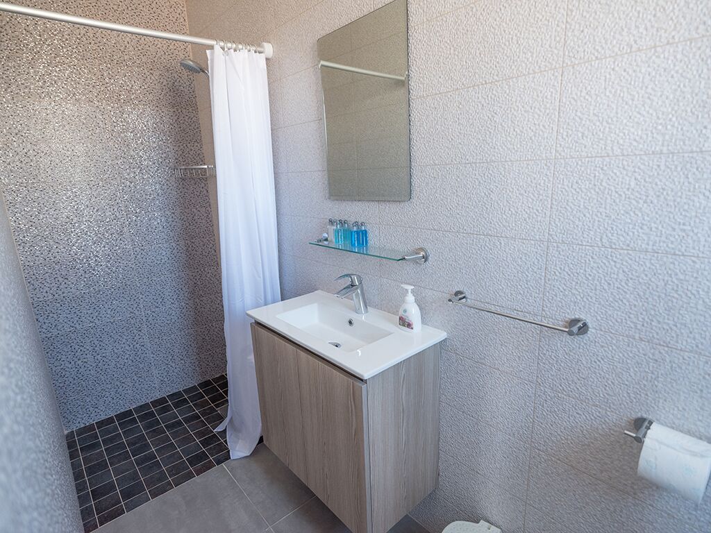 A modern bathroom with a shower, a sink, a mirror, and a toilet.