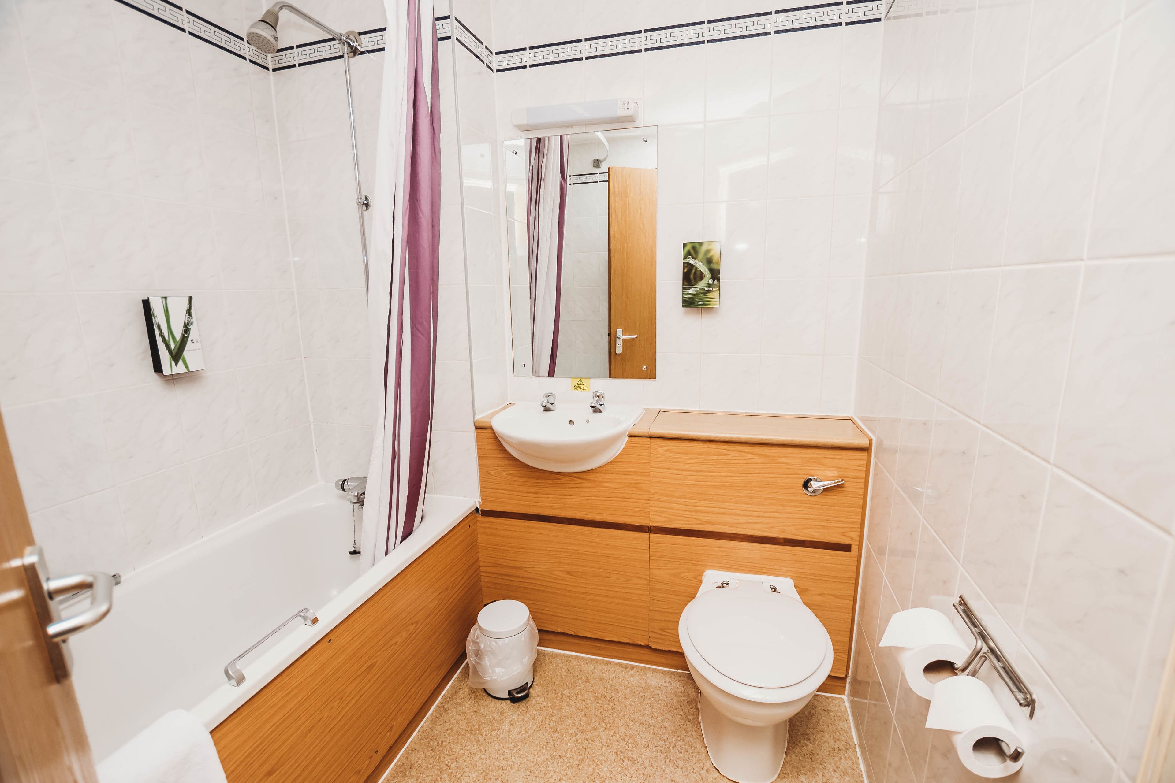 combined shower/bathtub, free toiletries, hair dryer, towels