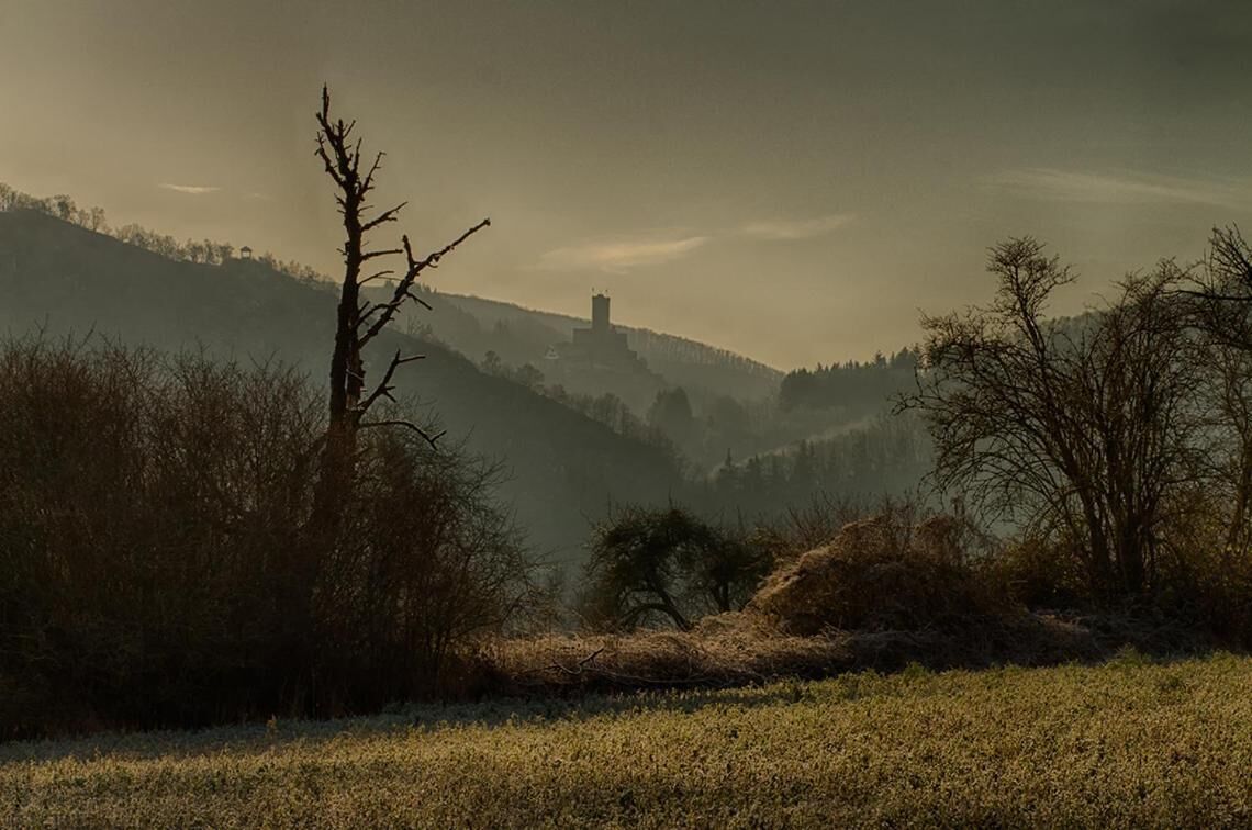 A landscape with a hill, trees, and a distant building.