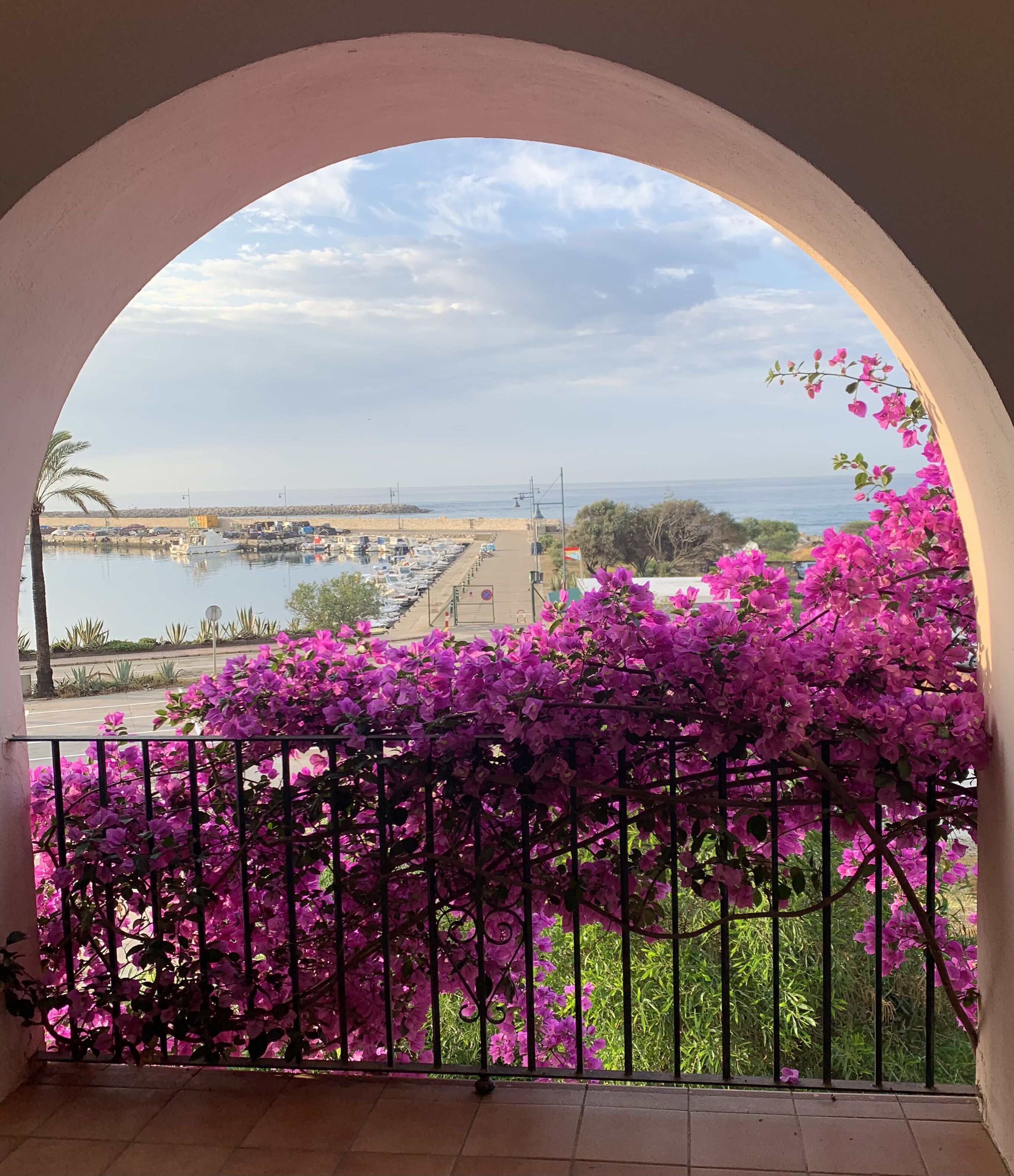 Un balcon donnant sur une marina et la mer, agrémenté de bougainvilliers aux fleurs roses.
