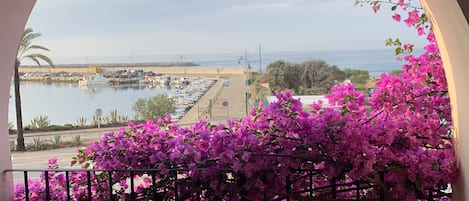 Un balcon donnant sur une marina et la mer, agrémenté de bougainvilliers aux fleurs roses.