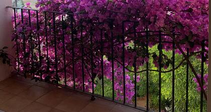 Great view at the harbor!