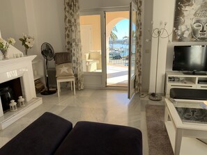 TV, fireplace, books