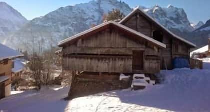Holiday apartment Hasliberg Reuti for 1 - 9 persons with 3 bedrooms - Farmhouse