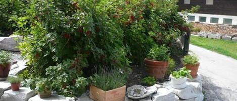 Jardines del alojamiento