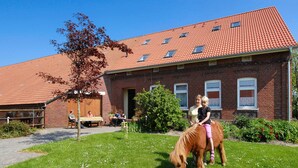 A brick building with a red-tiled roof, a grassy area with a horse, and a few people sitting at a table. - Apartment "Seediek" - Farm on the dike (Esens)