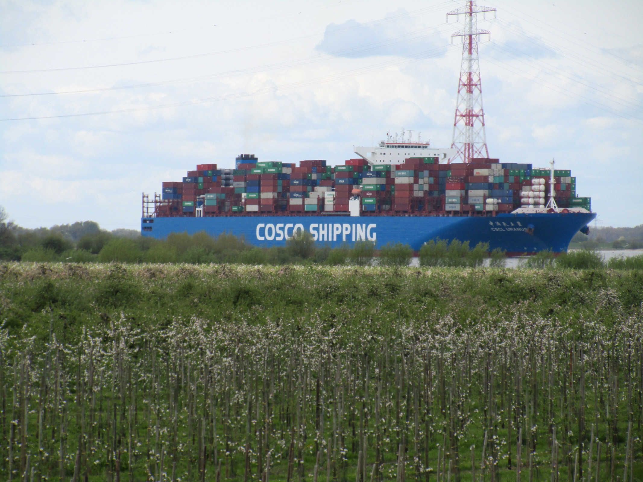A large container ship with the name "COSCO SHIPPING" on its side, docked near a power transmission tower and surrounded by a field of tall grass.