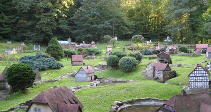 Cozy holiday apartment, surrounded by wood and grassland, chimney, pets allowed