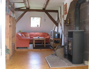 TV, fireplace, books