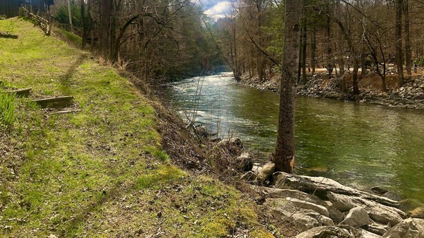 Cabin, 2 Queen Beds (River Dreaming) | Property grounds - River Dreaming (Townsend)
