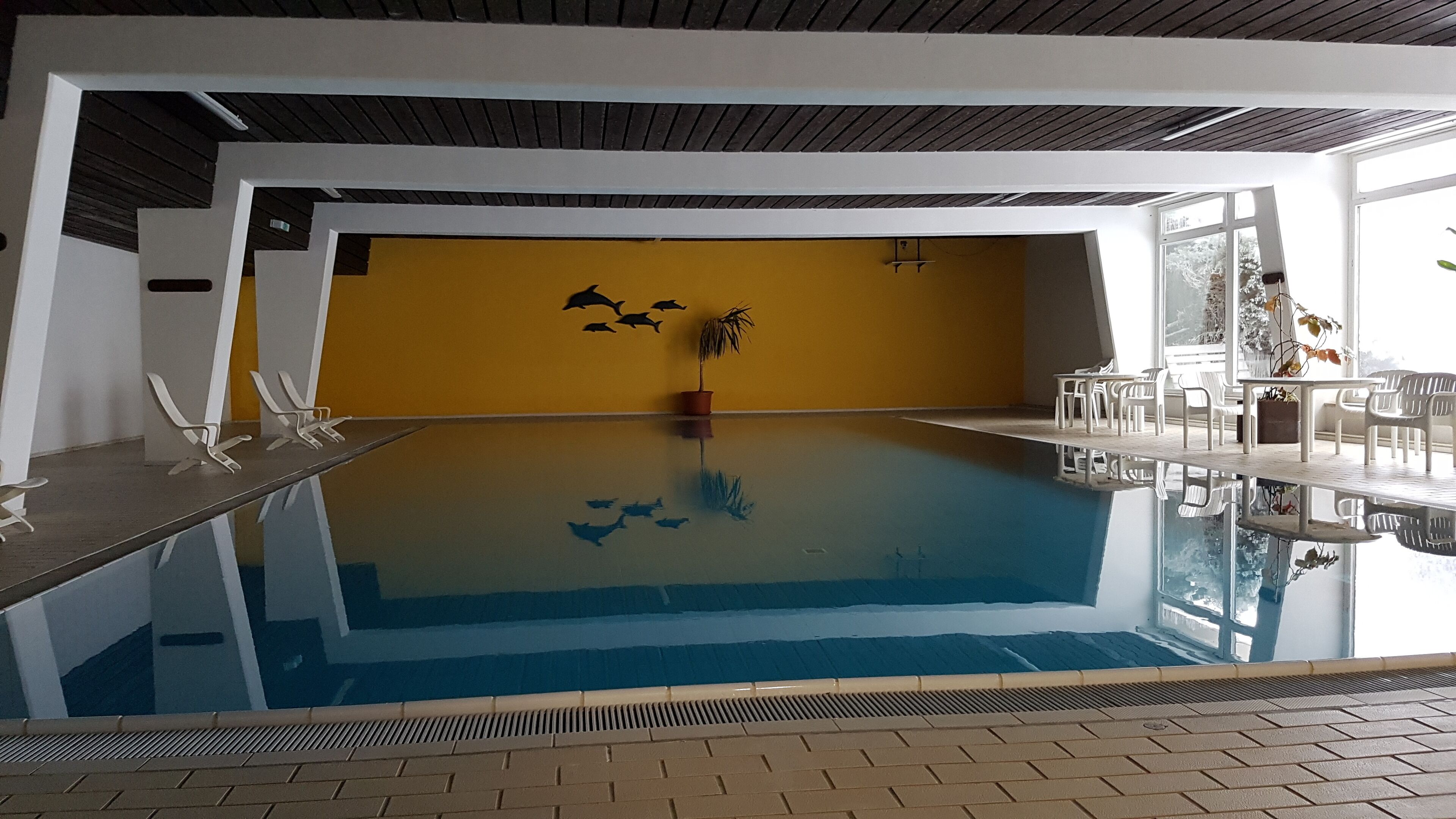 An indoor swimming pool with clear water, surrounded by white chairs and a yellow wall with a dolphin mural.