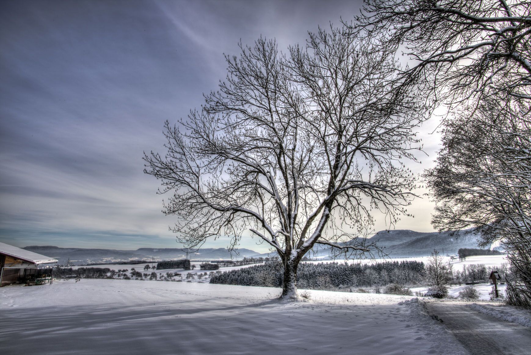 Un paysage enneigé, avec un arbre sans feuilles qui se détache au premier plan, un ciel dégagé et des montagnes lointaines.