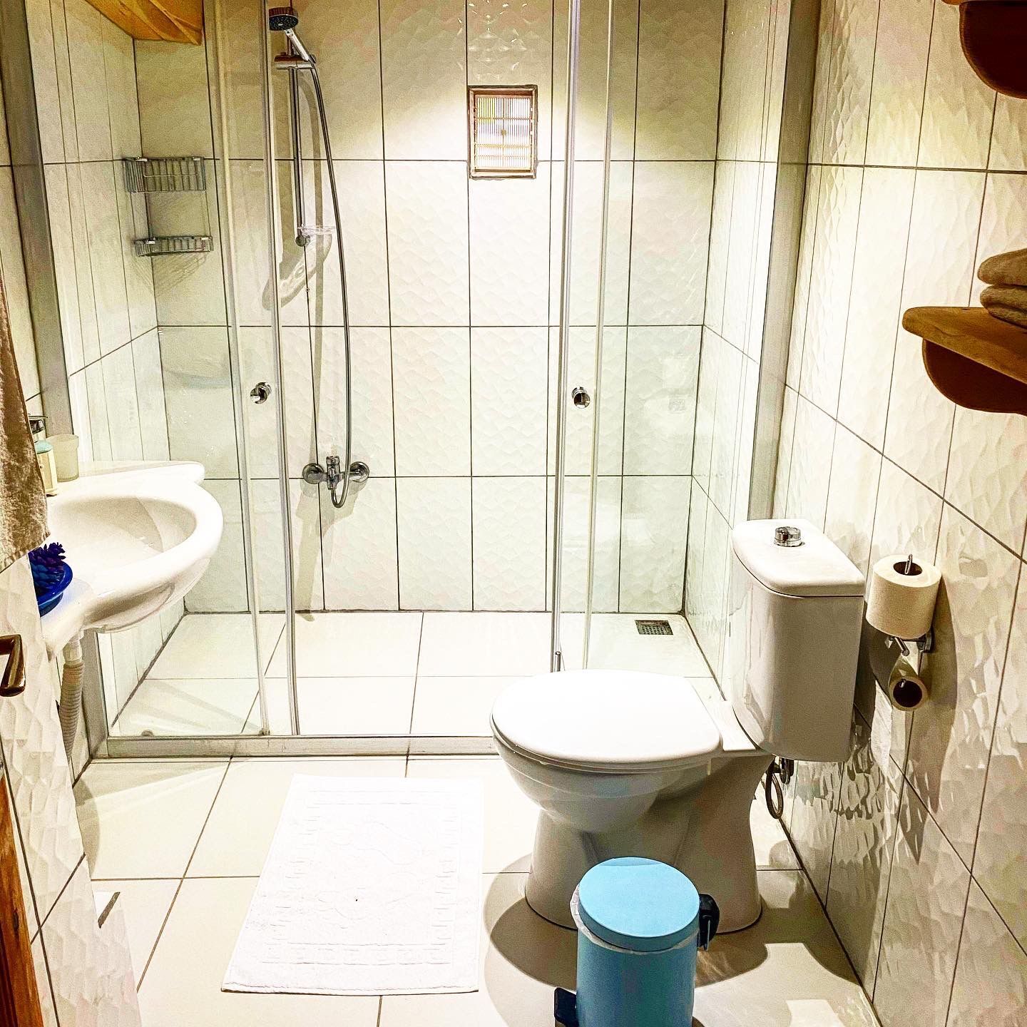 elite bungalow, sea view | bathroom | shower, hydromassage showerhead, free toiletries, hair dryer