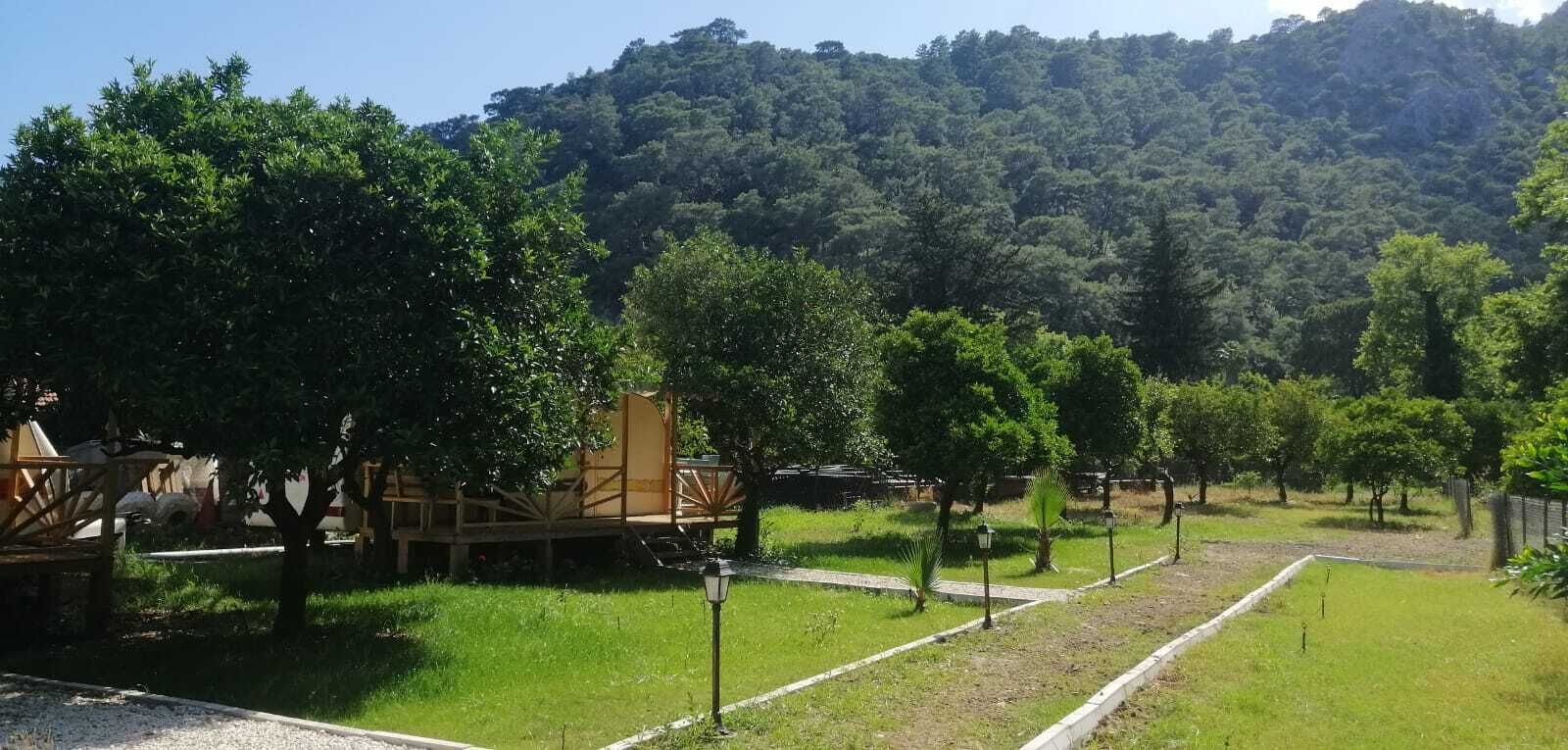 Un camping con estructuras de madera, una zona verde y una colina boscosa al fondo.