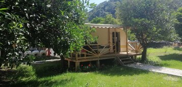 Une petite construction en bois d’un seul étage, dotée d’un porche abrité, entourée d’une végétation luxuriante et bordée d’un chemin de gravier.
