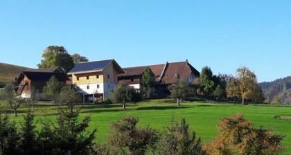 Ferienwohnung Burgdorf für 1 - 6 Personen mit 3 Schlafzimmern - Bauernhaus
