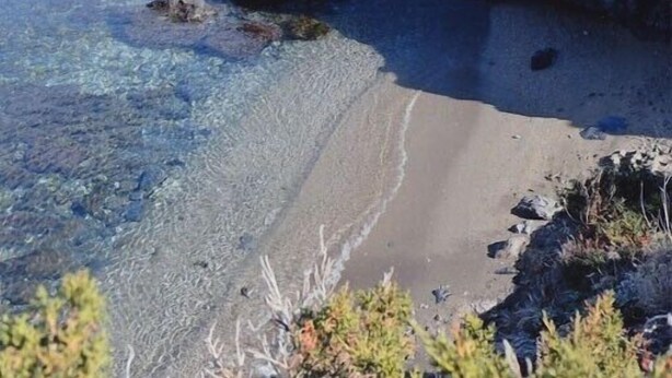 A beach with clear water, pebbles, and some vegetation.