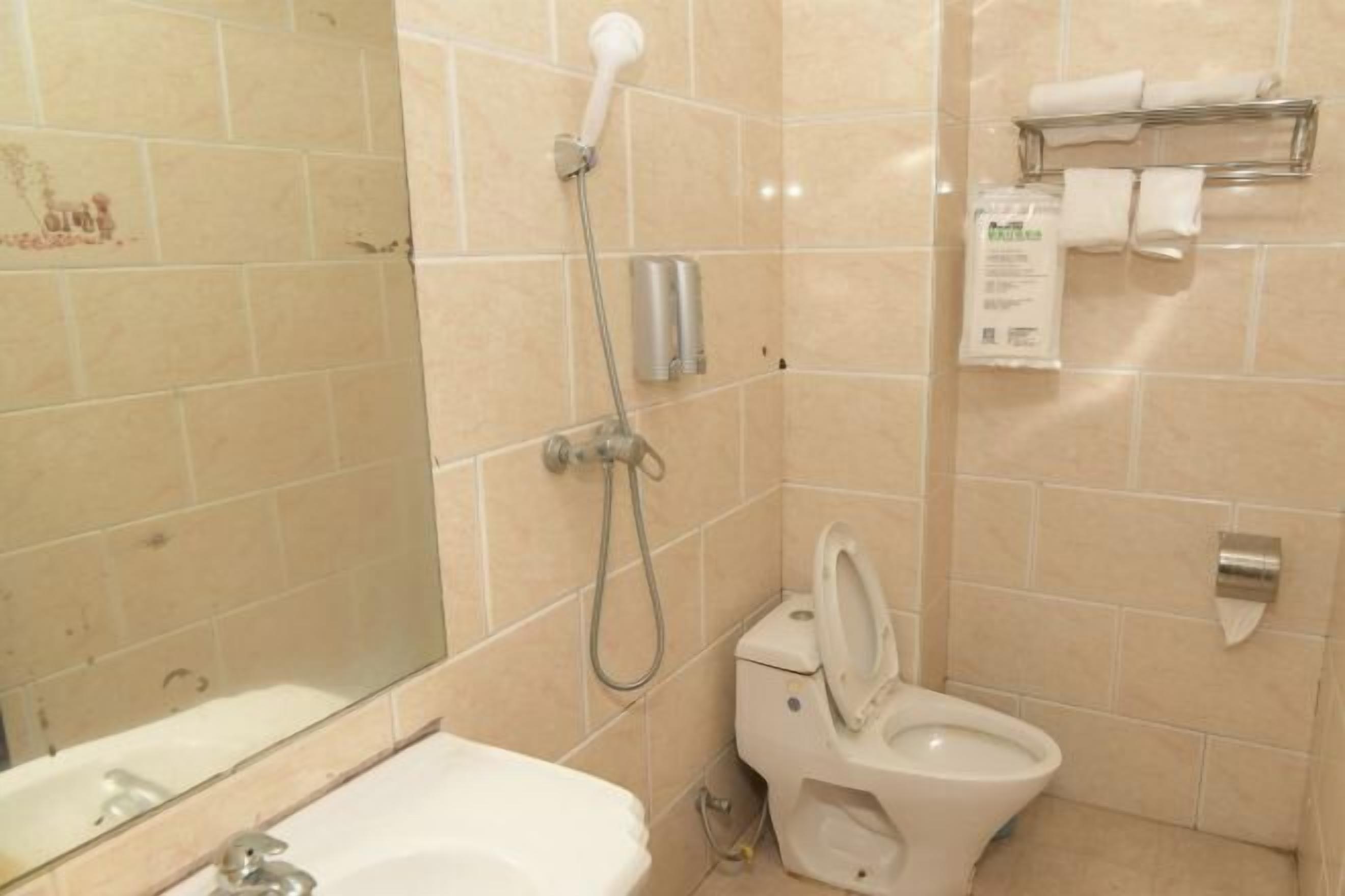 Une salle de bain comprenant des toilettes, une douche, un lavabo et un miroir.